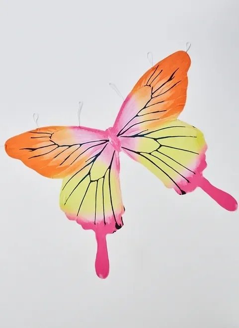 asa borboleta asa borboleta