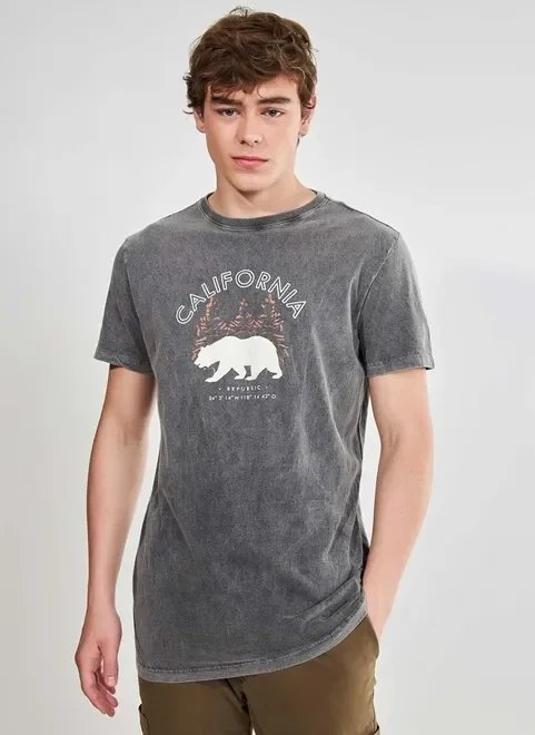 camiseta manga curta marmorizada urso california camiseta manga curta marmorizada urso california