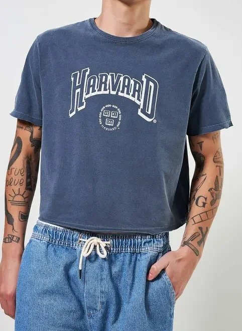 camiseta cropped harvard camiseta cropped harvard