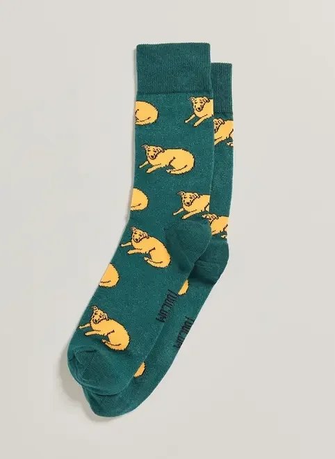 meia verde vira-lata caramelo meia verde vira-lata caramelo