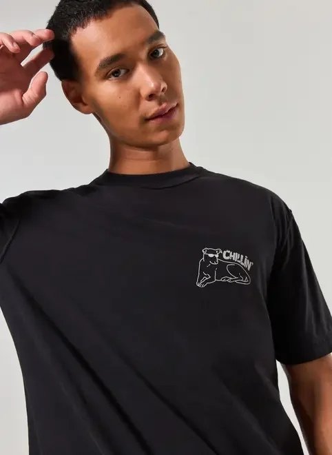 camiseta box preta vira-lata caramelo camiseta box preta vira-lata caramelo
