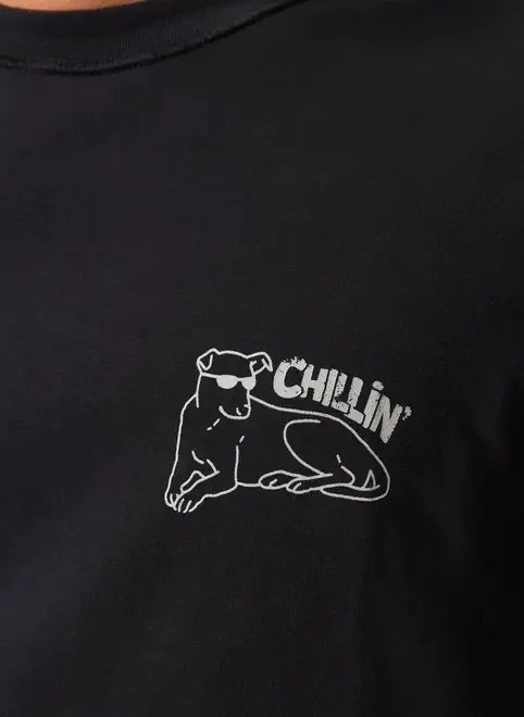 camiseta box preta vira-lata caramelo camiseta box preta vira-lata caramelo