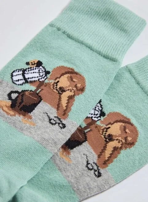 meia verde cachorro café meia verde cachorro café