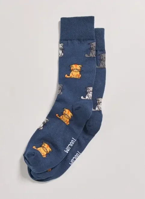 meia azul gatos bravos meia azul gatos bravos