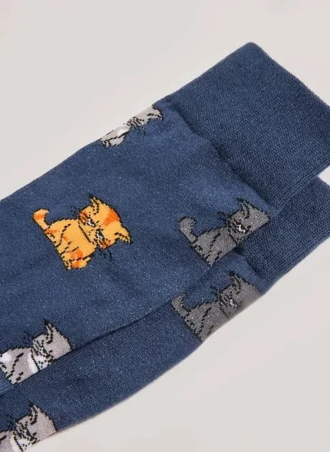 meia azul gatos bravos meia azul gatos bravos