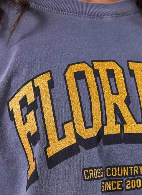 camiseta cropped florida com glitter camiseta cropped florida com glitter