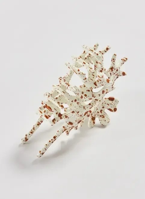 piranha de cabelo concha piranha de cabelo concha