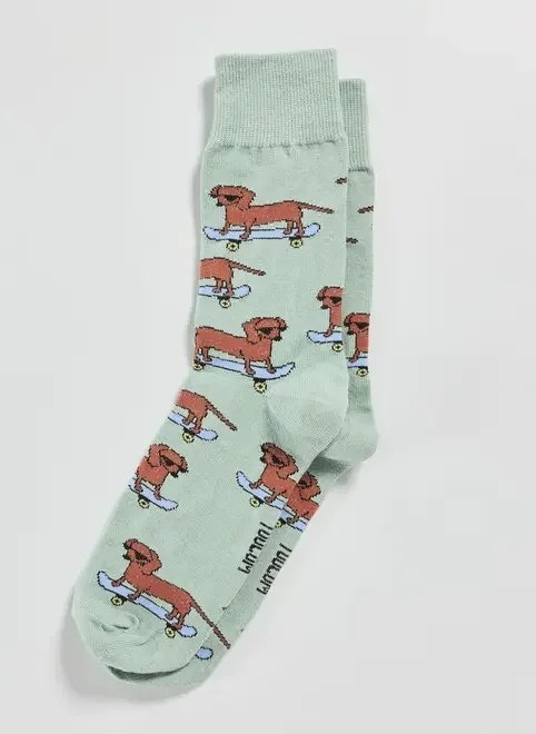 meia verde cachorro com skate meia verde cachorro com skate