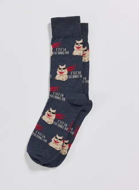 meia marinho hamster óculos de sol meia marinho hamster óculos de sol