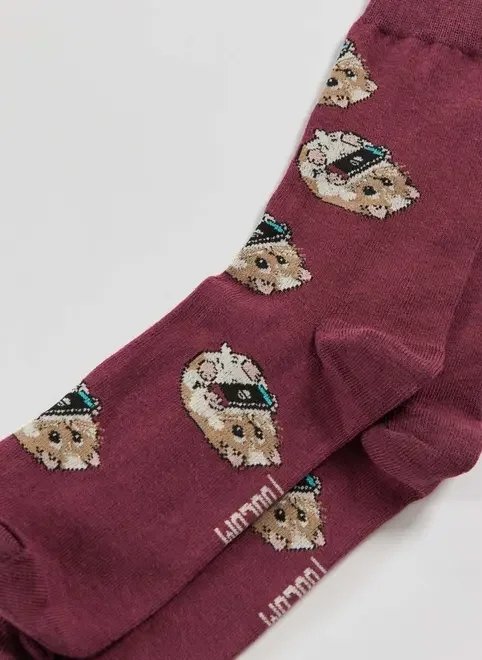 meia vinho hamster jogando meia vinho hamster jogando