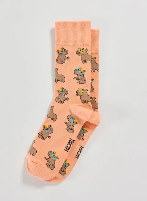 meia laranja capivara carnaval meia laranja capivara carnaval