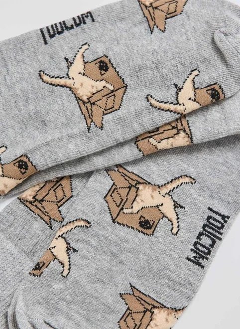 meia cinza gato na caixa meia cinza gato na caixa