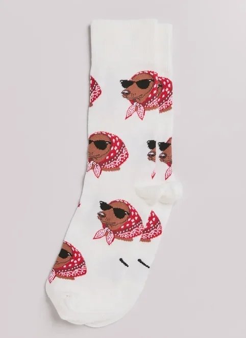meia cachorro de lenço meia cachorro de lenço